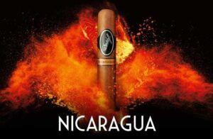 Davidoff Nicaragua